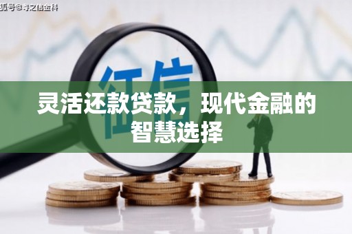 绥阳灵活还款贷款，现代金融的智慧选择