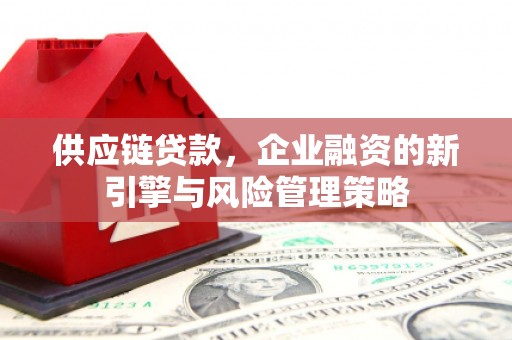 绥阳供应链贷款，企业融资的新引擎与风险管理策略