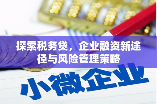 绥阳探索税务贷，企业融资新途径与风险管理策略