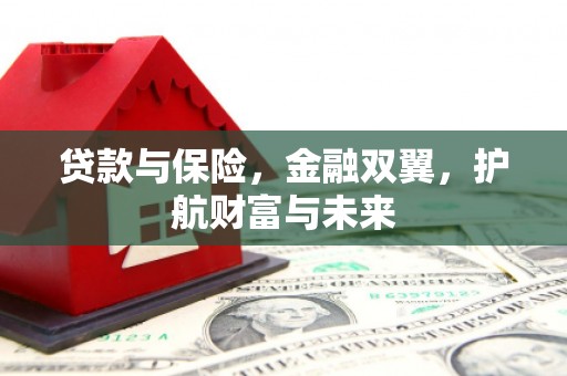 绥阳贷款与保险，金融双翼，护航财富与未来