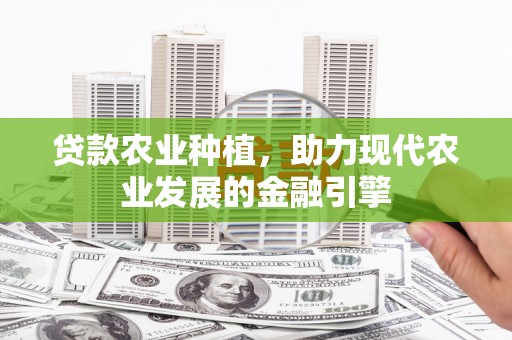 绥阳贷款农业种植，助力现代农业发展的金融引擎