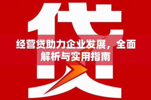 绥阳经营贷助力企业发展，全面解析与实用指南