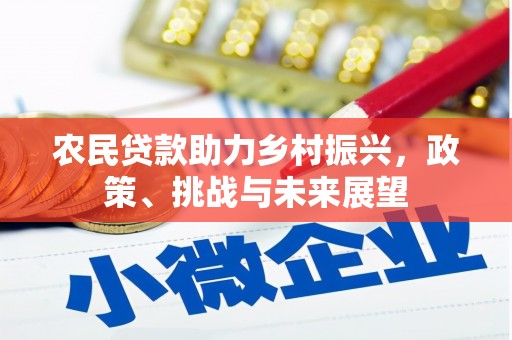 绥阳农民贷款助力乡村振兴，政策、挑战与未来展望