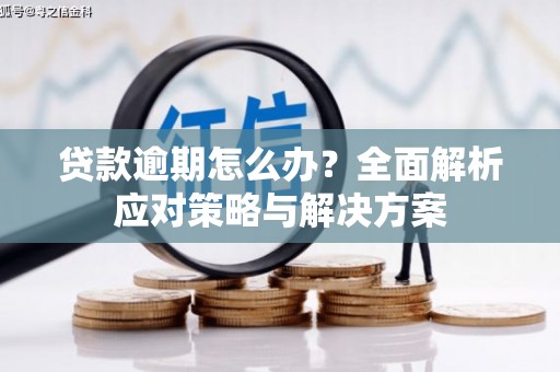绥阳贷款逾期怎么办？全面解析应对策略与解决方案