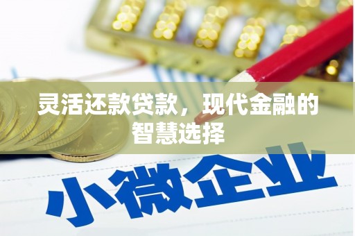 绥阳灵活还款贷款，现代金融的智慧选择