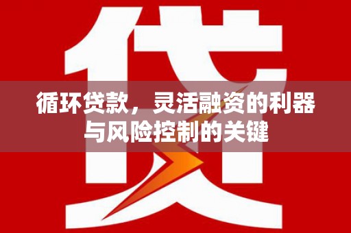 绥阳循环贷款，灵活融资的利器与风险控制的关键