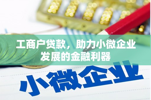 绥阳工商户贷款，助力小微企业发展的金融利器