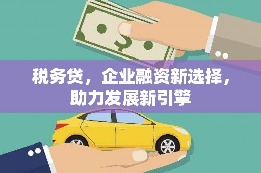 绥阳税务贷，企业融资新选择，助力发展新引擎