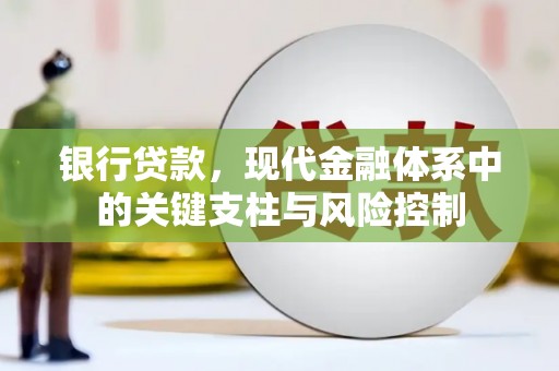 绥阳银行贷款，现代金融体系中的关键支柱与风险控制