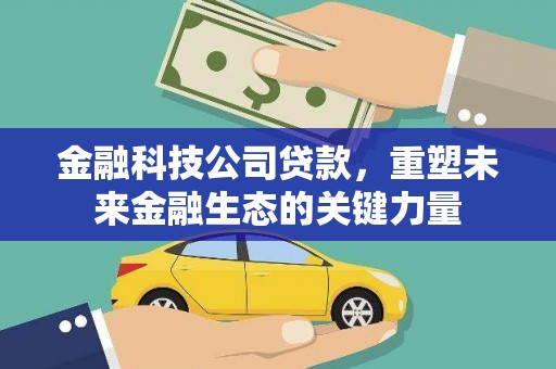 绥阳金融科技公司贷款，重塑未来金融生态的关键力量