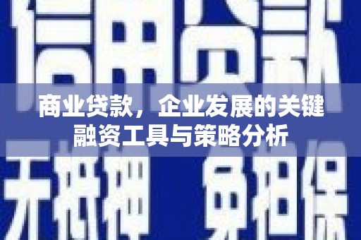 绥阳商业贷款，企业发展的关键融资工具与策略分析