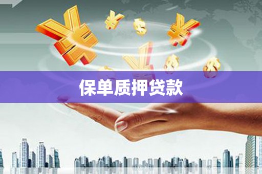 绥阳保单质押贷款