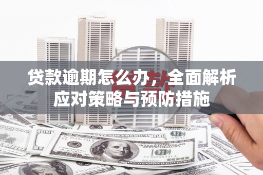 绥阳贷款逾期怎么办，全面解析应对策略与预防措施