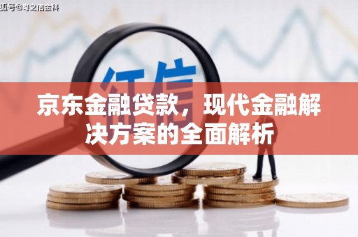 绥阳京东金融贷款，现代金融解决方案的全面解析