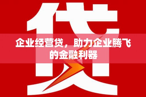 绥阳企业经营贷，助力企业腾飞的金融利器