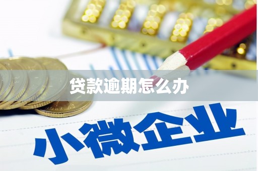 绥阳贷款逾期怎么办