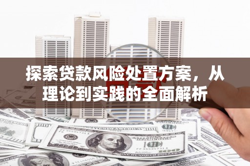 绥阳探索贷款风险处置方案，从理论到实践的全面解析