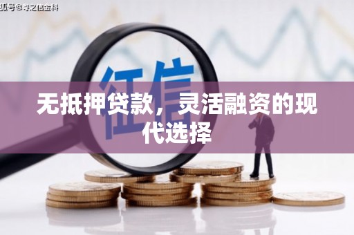 绥阳无抵押贷款，灵活融资的现代选择