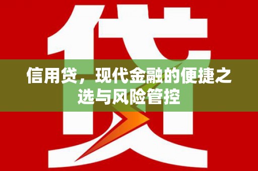 绥阳信用贷，现代金融的便捷之选与风险管控