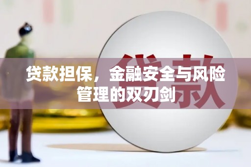 绥阳贷款担保，金融安全与风险管理的双刃剑