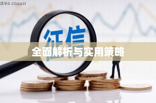 绥阳全面解析与实用策略