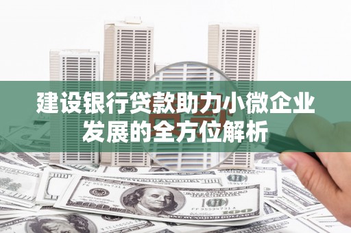 绥阳建设银行贷款助力小微企业发展的全方位解析