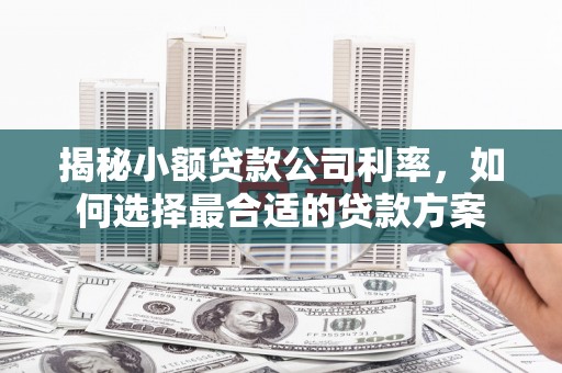 绥阳揭秘小额贷款公司利率，如何选择最合适的贷款方案