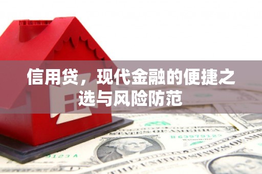 绥阳信用贷，现代金融的便捷之选与风险防范