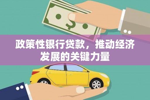 绥阳政策性银行贷款，推动经济发展的关键力量