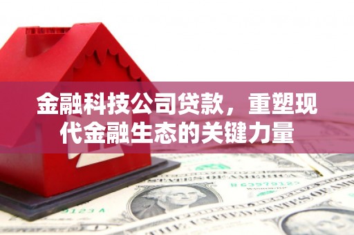绥阳金融科技公司贷款，重塑现代金融生态的关键力量