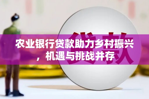 绥阳农业银行贷款助力乡村振兴，机遇与挑战并存