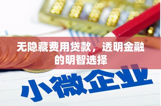 绥阳无隐藏费用贷款，透明金融的明智选择