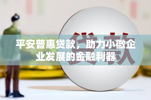 绥阳平安普惠贷款，助力小微企业发展的金融利器