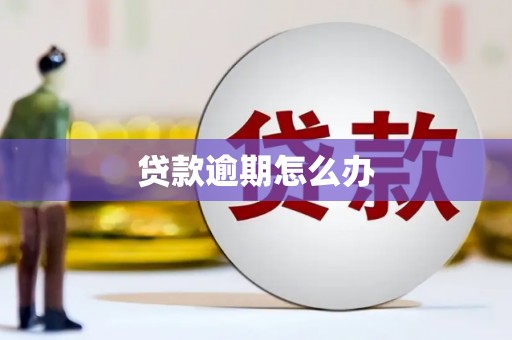 绥阳贷款逾期怎么办