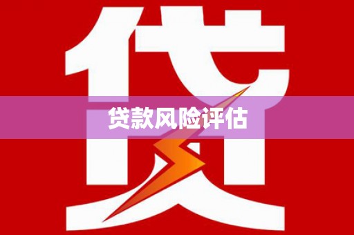 绥阳贷款风险评估