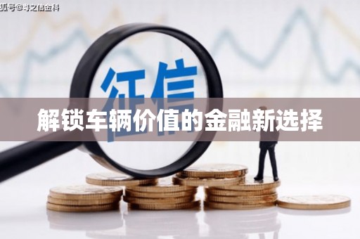 绥阳解锁车辆价值的金融新选择