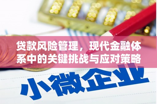 绥阳贷款风险管理，现代金融体系中的关键挑战与应对策略