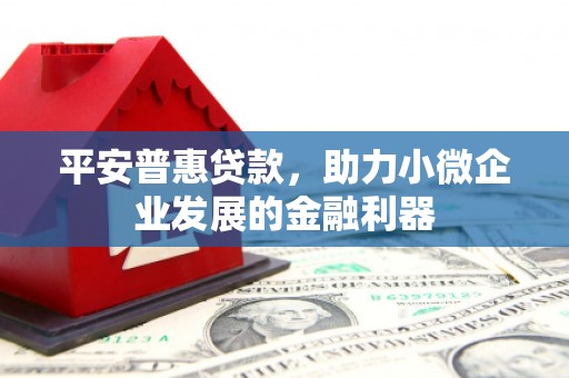 绥阳平安普惠贷款，助力小微企业发展的金融利器