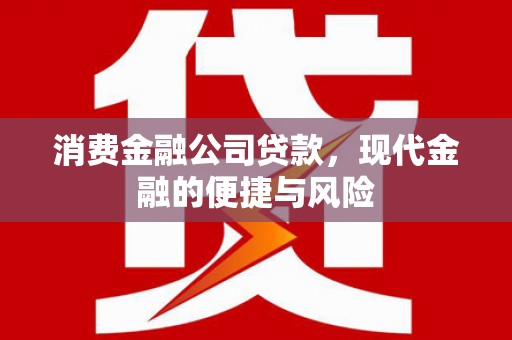 绥阳消费金融公司贷款，现代金融的便捷与风险