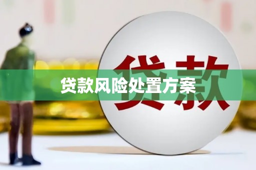 绥阳贷款风险处置方案