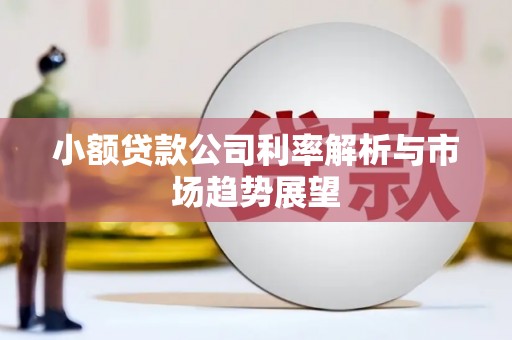 绥阳小额贷款公司利率解析与市场趋势展望
