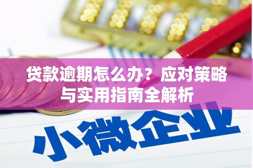 绥阳贷款逾期怎么办？应对策略与实用指南全解析