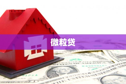 绥阳微粒贷