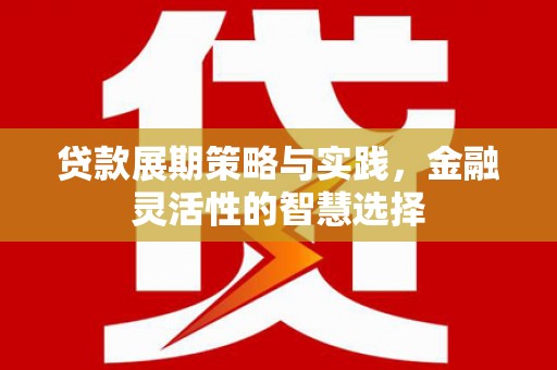 绥阳贷款展期策略与实践，金融灵活性的智慧选择