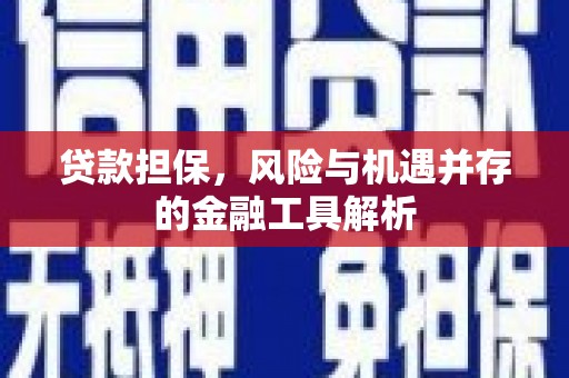 绥阳贷款担保，风险与机遇并存的金融工具解析