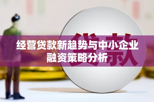 绥阳经营贷款新趋势与中小企业融资策略分析
