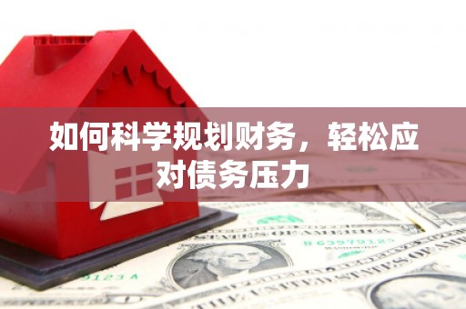 绥阳如何科学规划财务，轻松应对债务压力