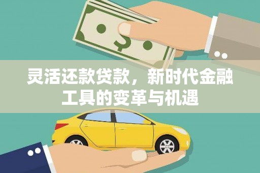 绥阳灵活还款贷款，新时代金融工具的变革与机遇