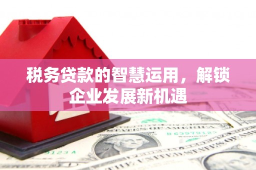 绥阳税务贷款的智慧运用，解锁企业发展新机遇