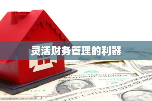 绥阳灵活财务管理的利器
